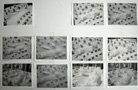 0738_Entwicklung_Modell_01_kl.jpg