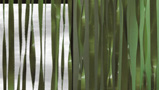 Gras